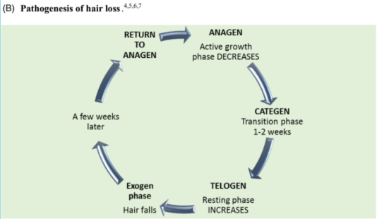 REGROVIT Tablets for Hair-Growth